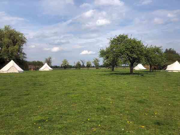 Apple bell tent