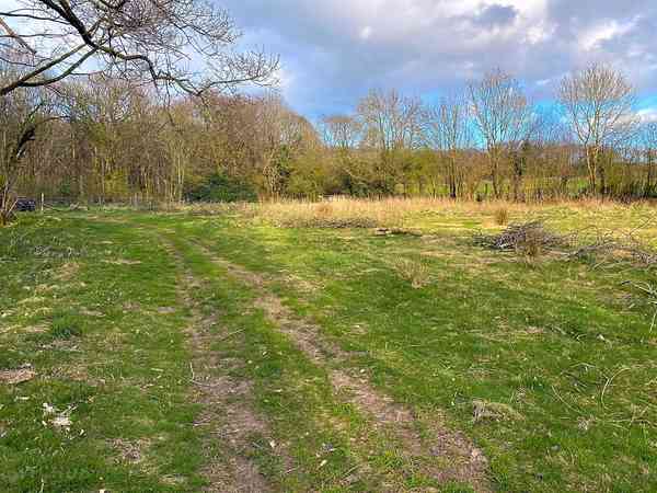 Non-electric grass tent pitch (wild)