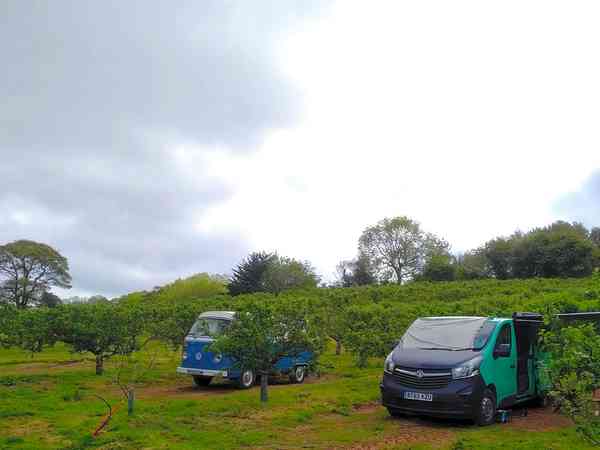 Grasbewachsener Zelt- oder Camper-Van-Stellplatz Katy mit Stromanschluss