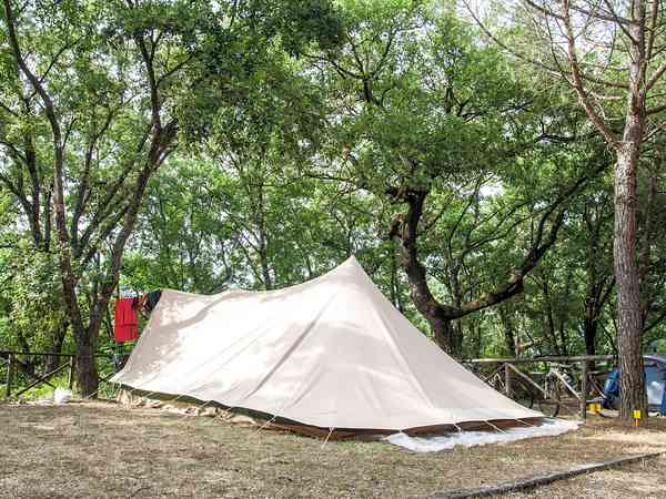 Powered grass tent or trailer tent site (large)