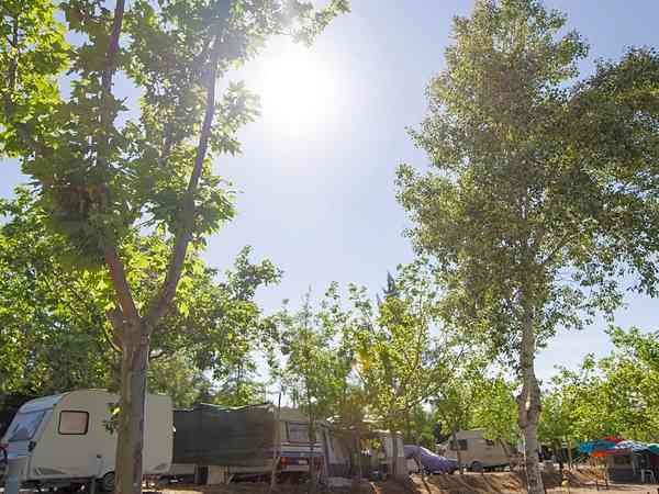 Parcela de tierra con electricidad opcional para tienda