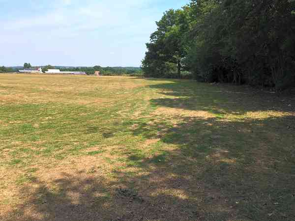 Tree-lined site Tree-lined site