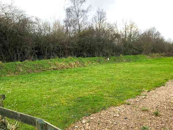 Electric grass tent pitch