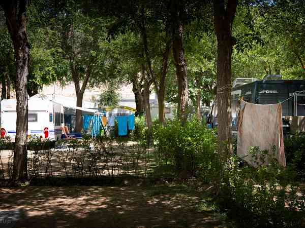 Electric optional grass tent pitch