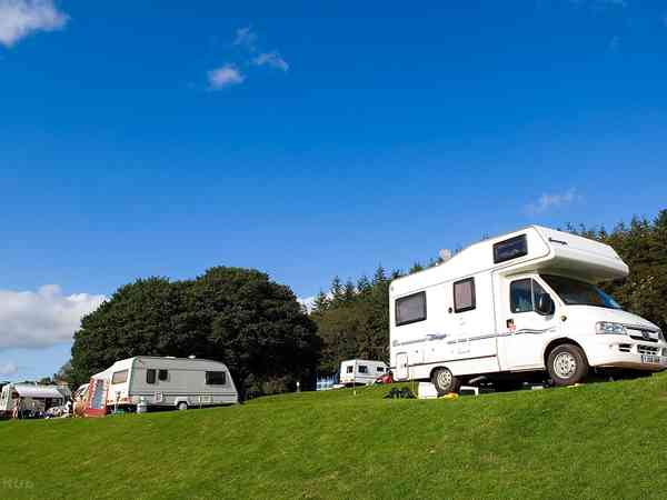Electric grass pitches Electric grass pitches