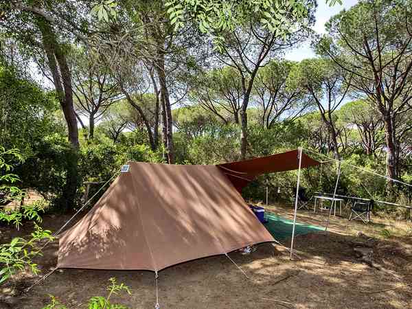 Powered tent site (pinewood)