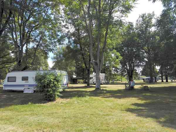 Primitive grass site