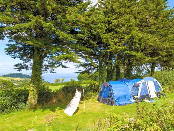 Rabbit Field electric grass tent or trailer tent pitch (shaded)
