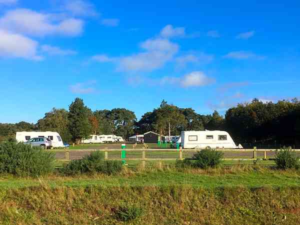 Emplacement (Sandy Acres) sur herbe et sur sable avec électricité