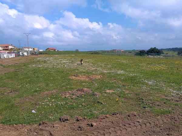 Electric optional grass motorhome pitch