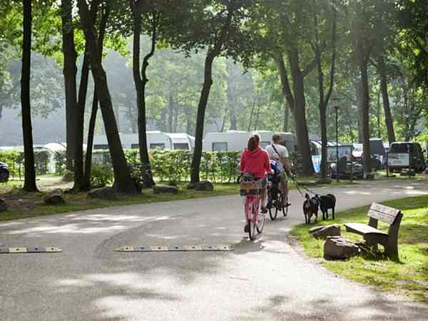 Plass på gressplen full service
