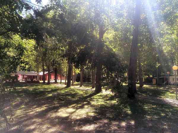 Camping area Camping area