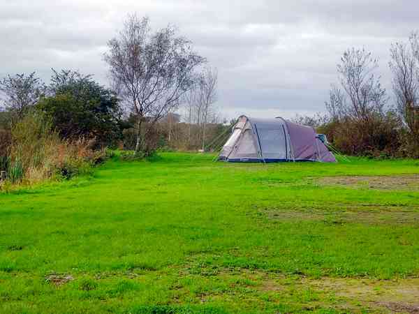 Electric grass pitch