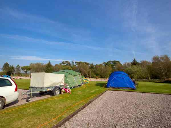 Grass tent pitch with electric hookup Grass tent pitch with electric hookup
