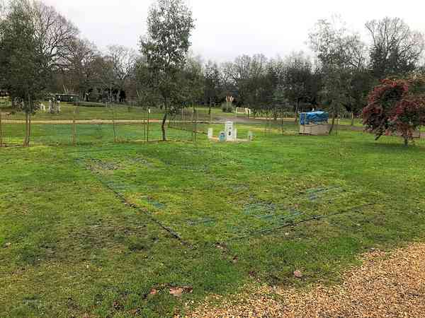 All-Weather electric pitch