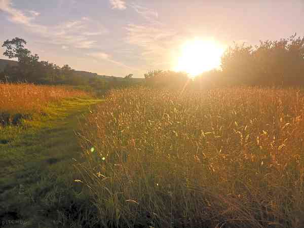 Emplacement pour tente sur herbe avec branchements d'eau, d'égout et d'électricité