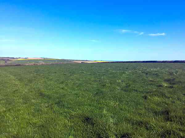 Non-electric grass tent or trailer tent pitch