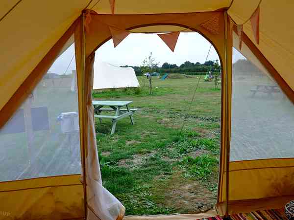 Acorn view Acorn view