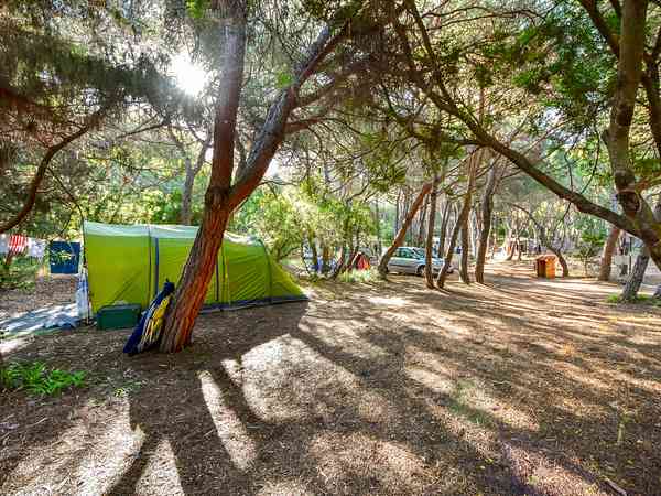 Fully-serviced forest floor pitch