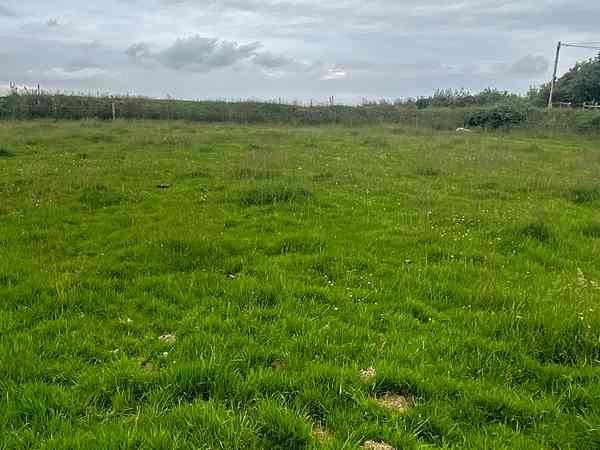Non-electric grass tent or trailer tent pitch