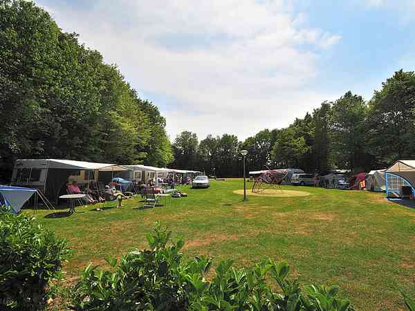 Electric grass pitch