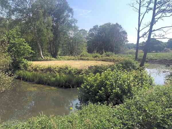 Emplacement sur herbe avec électricité