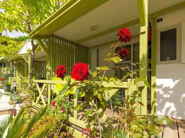 1 bedroom cabin (two person)
