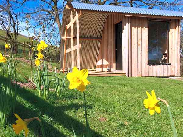 Sycamore camping pod