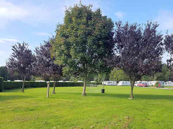 Emplacement pour tente sur herbe sans électricité (en solo)