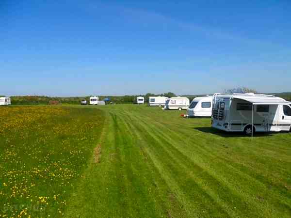 Electric optional grass tent or trailer tent pitch