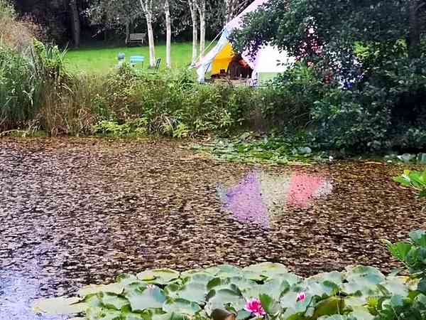 Tente cloche Lakeside