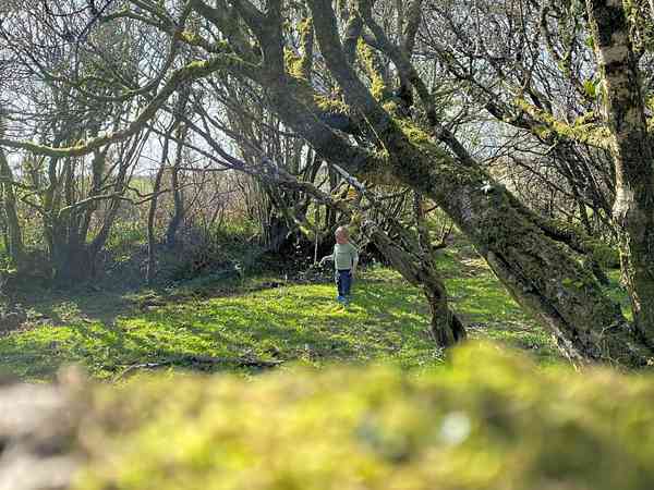 Primitive grass tent site