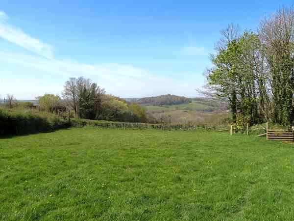 Primitive grass tent site