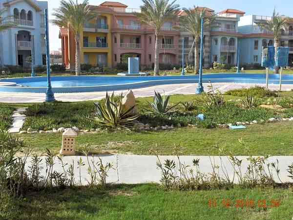 1 bedroom apartment (comfort)