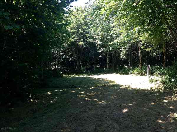 Non-electric forest floor tent pitch (wild)