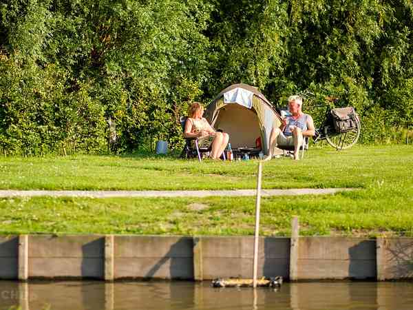 Electric optional grass tent pitch (no pets)