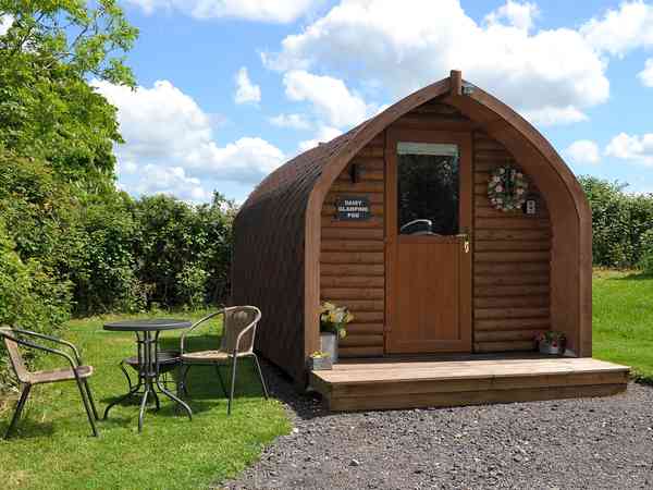 Daisy camping pod