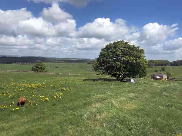 Unpowered grass site