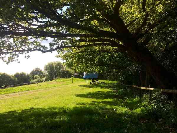 Emplacement pour tente (Eco) sur herbe sans électricité (routard, sans voiture)