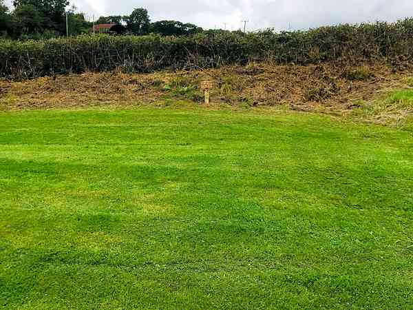 Grass pitch Grass pitch