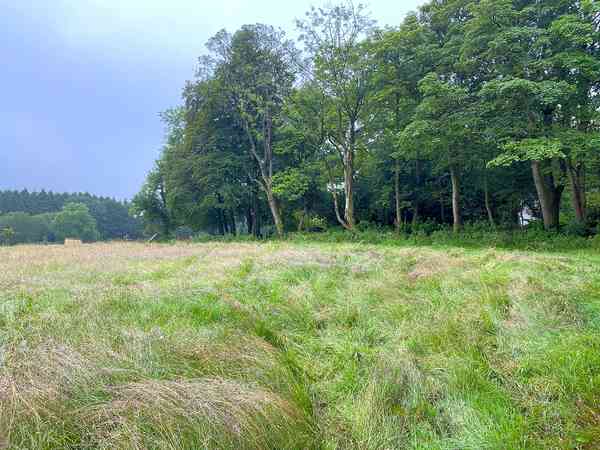 Non-electric grass tent or trailer tent pitch