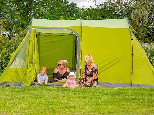 Electric optional grass tent pitch