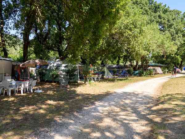 Spacious shaded pitches Spacious shaded pitches