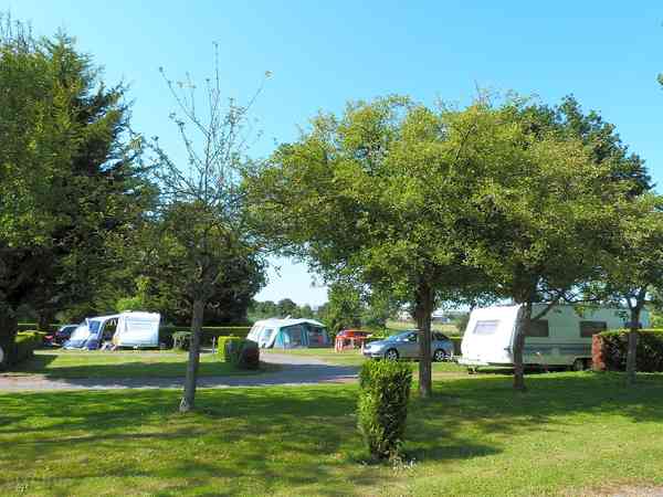 Electric optional grass pitch (comfort)
