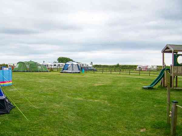 Powered grass site