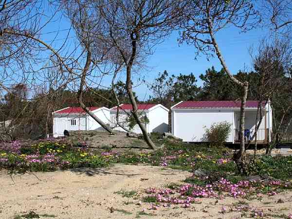 Residencial Natura 1 bedroom cottage / chalet / bungalow
