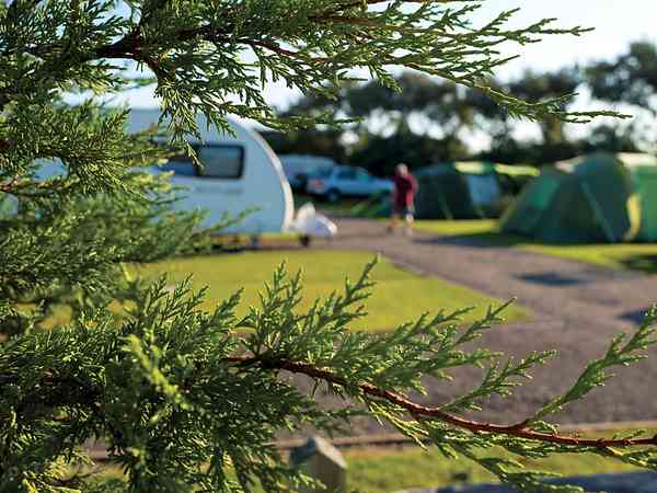 Primitive grass tent site