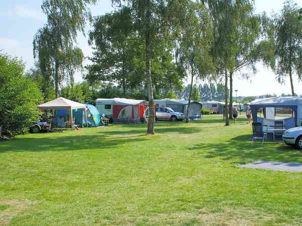 Electric grass pitch