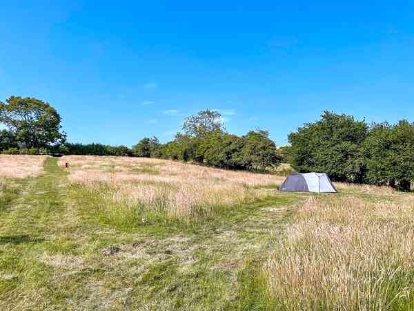 Non-electric grass tent pitch