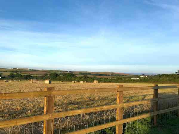 Electric optional grass pitch